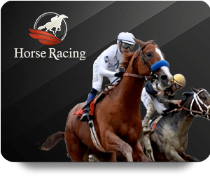 Unleash Your Winning Potential at Hi88 Live Dealer Hot