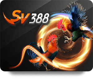 FUN88 Review Chuyên Môn: Đánh Giá Tính Năng Và Trải Nghiệm Người Dùng